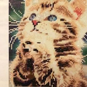 Diamond paint of a praying cat